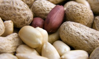 煮湿花生放什么调料好吃 煮湿花生的做法