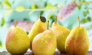 梨子怎么吃 梨子的烹饪方法有哪些
