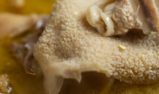 煮羊肚放什么调料商业版 煮羊肚放什么调料