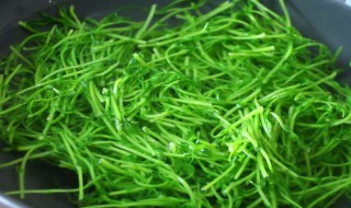 煮豌豆尖要放什么调料好吃 煮豌豆尖的做法