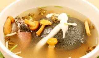 煮甲鱼汤要放什么调料 制作甲鱼汤放的调料
