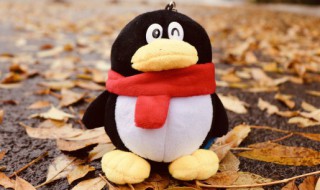 扣扣网名女生独特霸气短 独特霸气简约的女孩QQ昵称精选