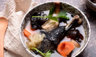 如何做乌鸡汤 乌鸡汤怎么做