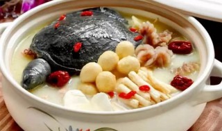 甲鱼鸡汤的做法大全 甲鱼鸡汤的做法有哪些