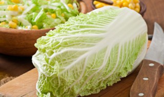 大白菜怎么炖好吃 大白菜如何炖好吃