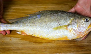 黄花鱼籽能吃吗 黄花鱼鱼籽可以吃吗