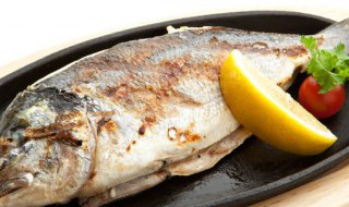 怎么炖鱼不腥又好吃 炖鱼不腥又好吃的方法