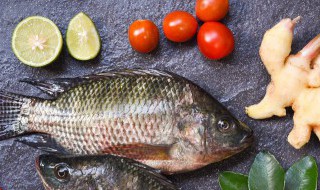 怎么炖鲫鱼好吃 炖鲫鱼好吃怎么做