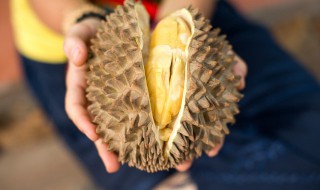 榴莲怎么看生熟 如何判断榴莲的生熟