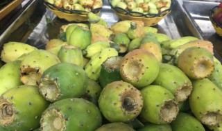 仙人果的籽能吃吗 仙人果里面的籽能吃吗