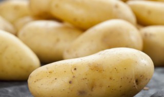 怎么炖土豆 炖土豆做法