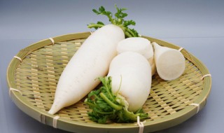 白萝卜怎么储存 如何储存白萝卜