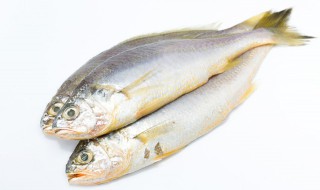 鱼籽能吃吗 鱼肚子的鱼籽能吃吗