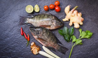 鲫鱼籽能吃吗 鲫鱼籽可以吃吗