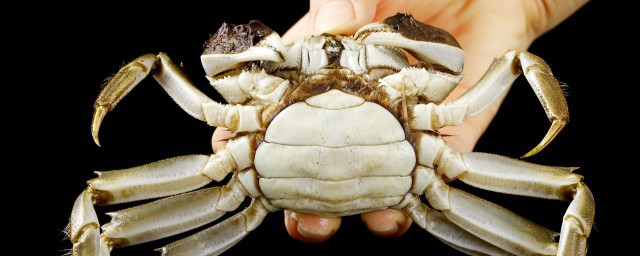 活螃蟹暂时不吃如何保存 活螃蟹怎么储存