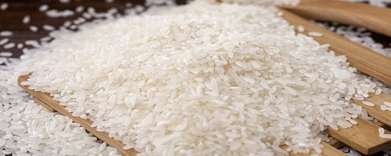 大米磨成粉可以做什么美食