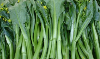 菜心能生吃吗 菜心可以直接生吃吗