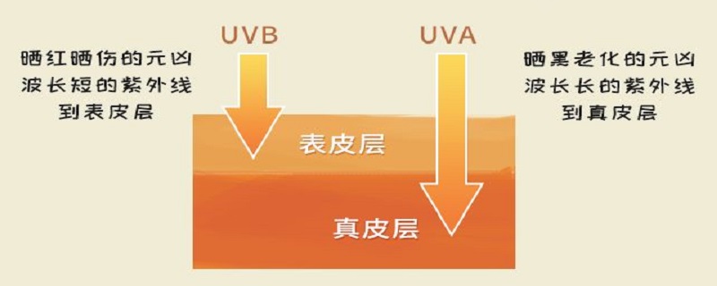 uva指的是什么