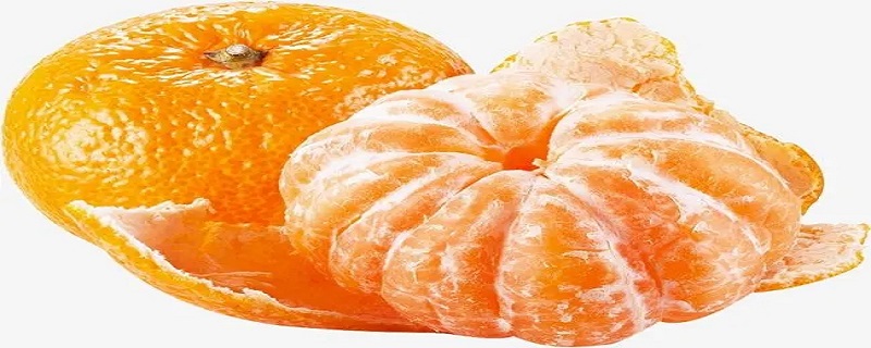 哪种水果不属于橘子类