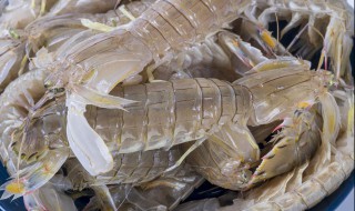 皮皮虾能生吃吗 皮皮虾可以直接生吃吗