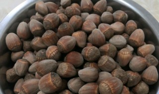 空气炸锅炸榛子要多长时间 空气炸锅炸榛子需要几分钟呢