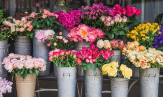 用空气炸锅烘干月季花多长时间 用空气炸锅烘干月季花多少时间