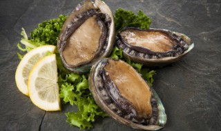 鲍鱼开水蒸多长时间最好吃 蒸鲍鱼的时间