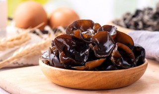 烤木耳用什么材料好 烤木耳用哪些材料好