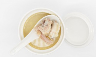 乳鸽汤的家常煮法 如何做乳鸽汤