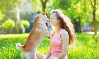 什么属相的人养犬好呢女生 什么属相的人适合养狗