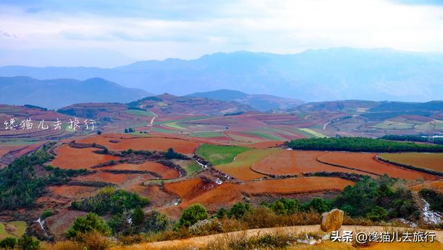 这个时候比较适合去哪旅游（想去那些景美玩着还不累的地方）