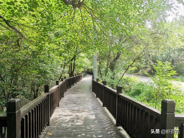 普陀山一日游自驾（北普陀山自驾一日游）