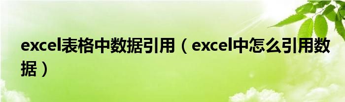 excel表格中数据引用（excel中怎么引用数据）