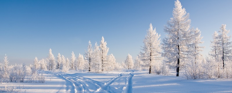 降雪量5mm是多厚