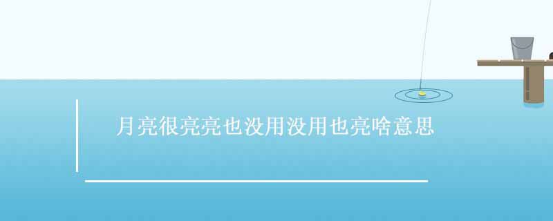 月亮很亮亮也没用没用也亮啥意思