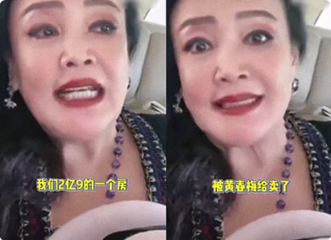 张兰直播爆S妈卖掉自家2.9亿房子！听孙女语音频哽咽，不敢给汪小菲听