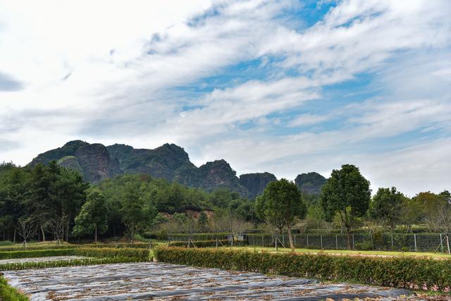 龙虎山属于江西哪个市（龙虎山在江西省哪座城市）