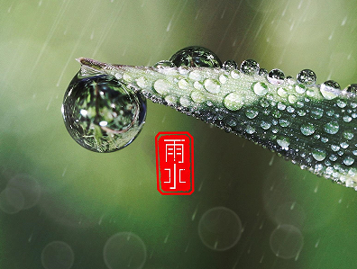 雨水节气朋友圈祝福语 雨水节气朋友圈短(精选22句)