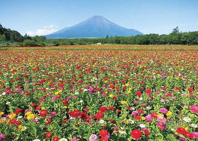 富士山旅游景点介绍（富士山10大最佳观赏景点大公开）