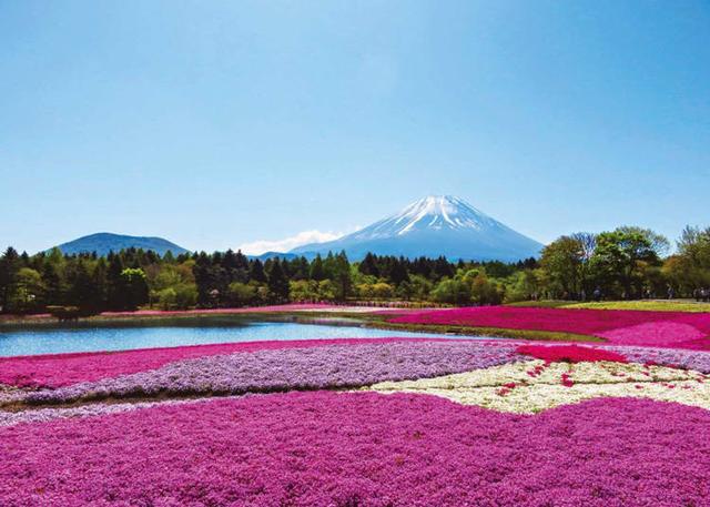 富士山旅游景点介绍（富士山10大最佳观赏景点大公开）