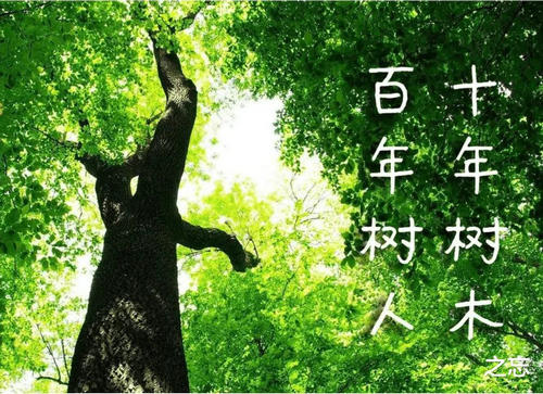 十年树木百年树人什么意思 怎么理解这句话