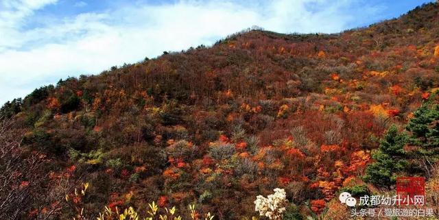 成都周边旅游景点攻略最新（成都周边8个旅游胜地）