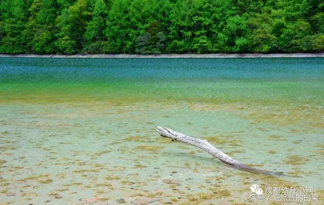 成都周边旅游景点攻略最新（成都周边8个旅游胜地）