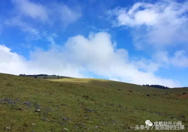 成都周边旅游景点攻略最新（成都周边8个旅游胜地）