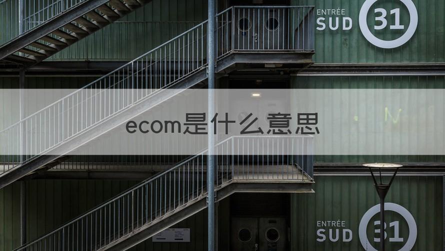 ecom ecom是什么意思（知识科普）