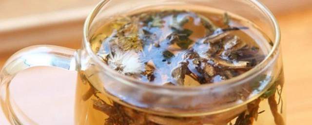 蒲公英茶的功效 蒲公英茶的功效是什么