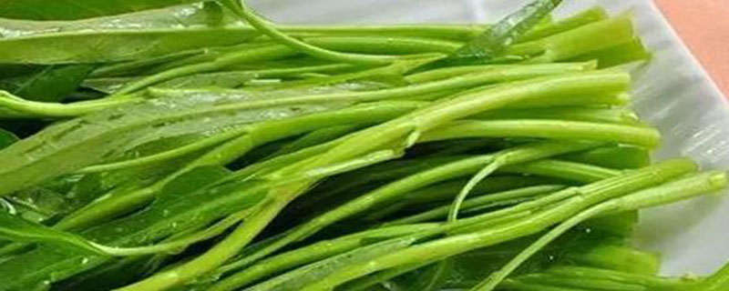 新鲜绿叶菜可以在冰箱里保存多久