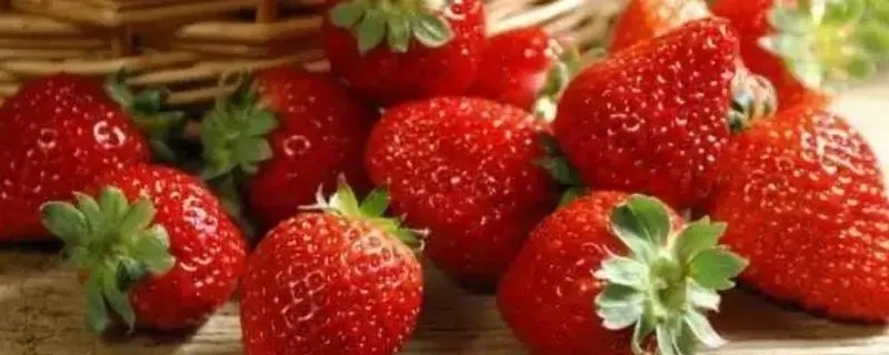 冬天草莓不洗可以放多久
