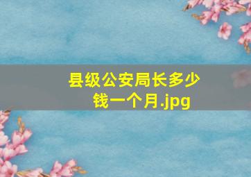 县级公安局长多少钱一个月