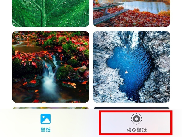荣耀Magic5Pro怎么设置动态壁纸 荣耀Magic5Pro更换壁纸步骤介绍